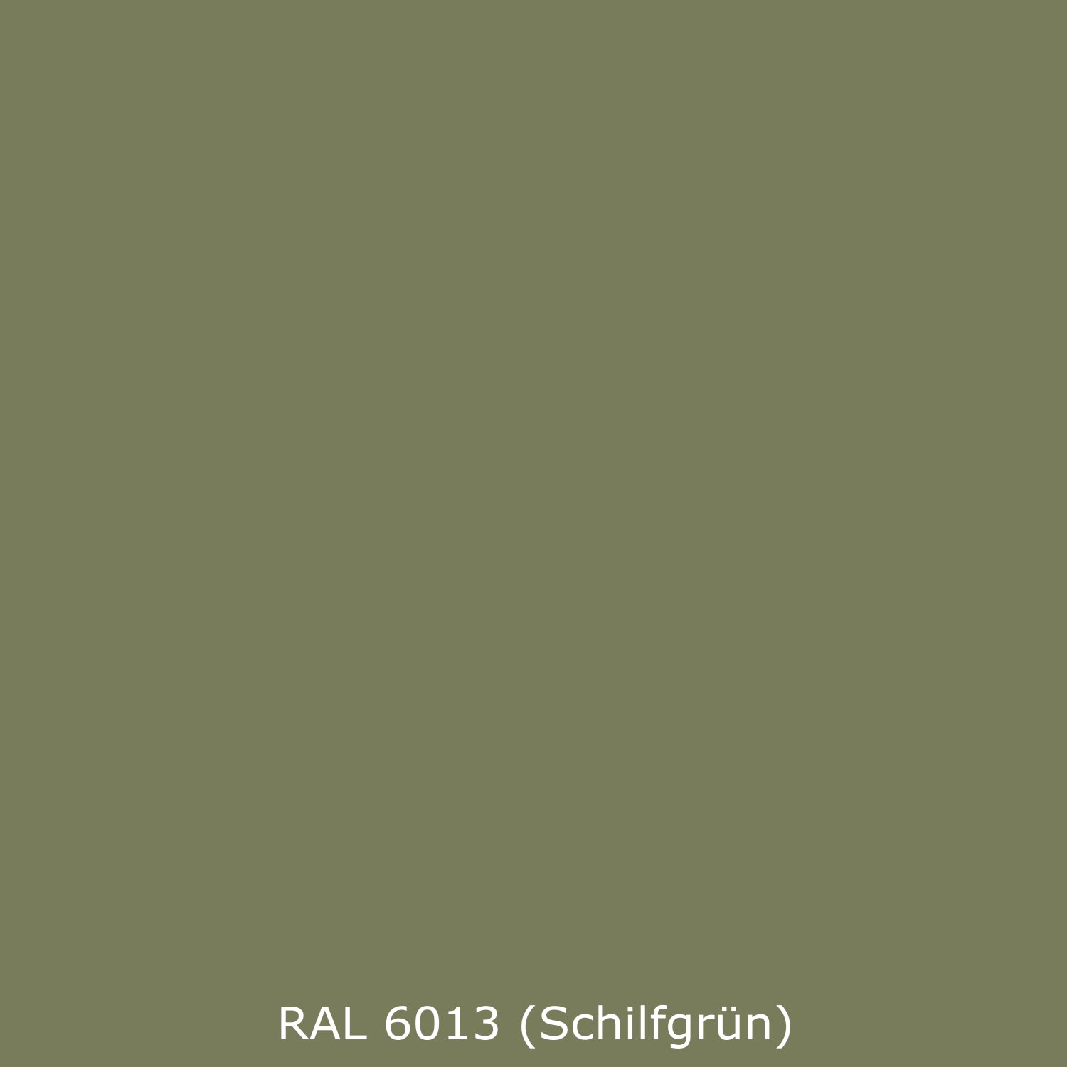 Badewannenverkleidung Einfarbig RAL 6013 Schilfgrün