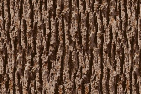 Waschbeckenrückwand Holzoptik