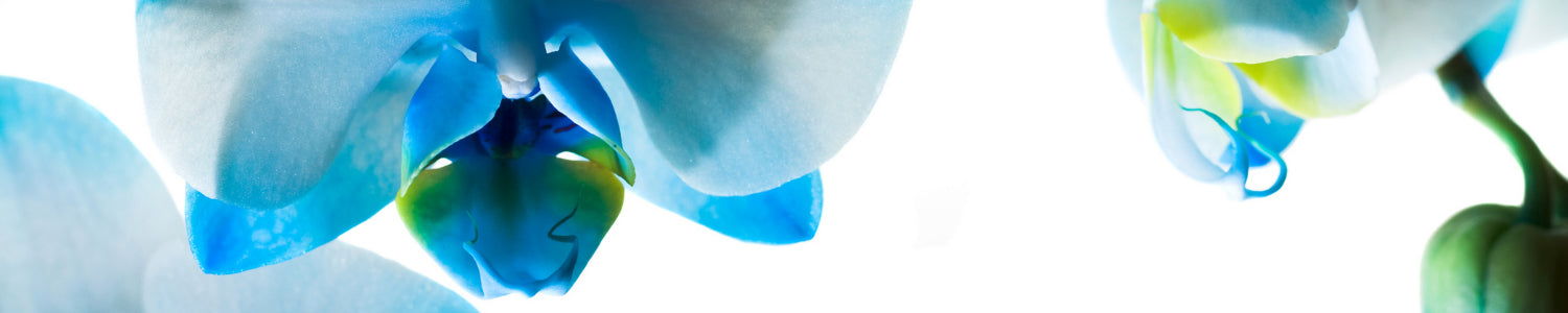 Badewannenverkleidung